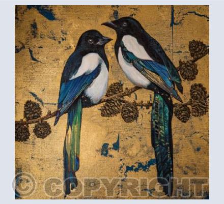 Magpies