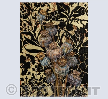 Poppy Pods & Pattern