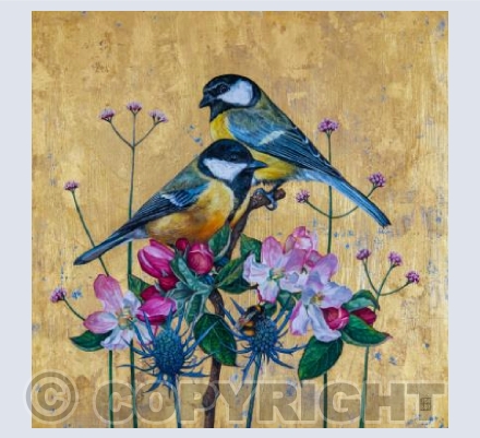 Great Tits &Apple Blossom