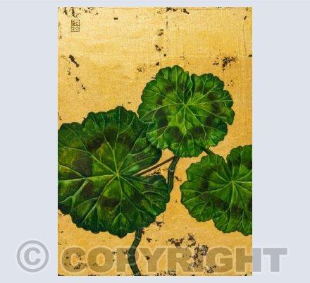 Geranium