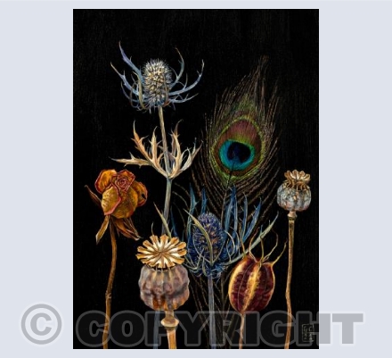 Eryngium & Poppy Pods