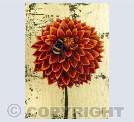 Dahlia Bee