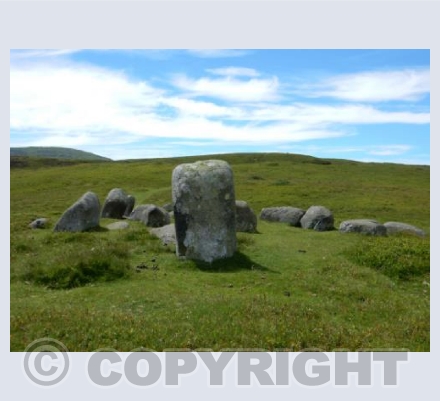 Druid's Circle