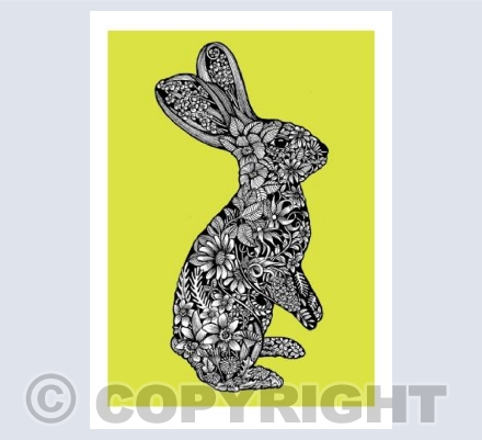 'Bunny'