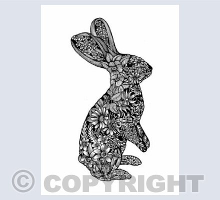 Illustrated Rabbit