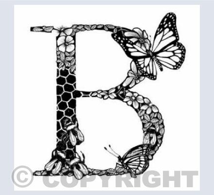 Alphabet Letters