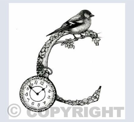 Alphabet Letters C
