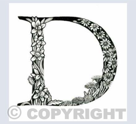 Alphabet Letters D