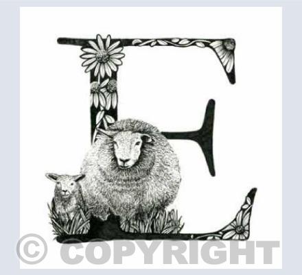 Alphabet Letters E
