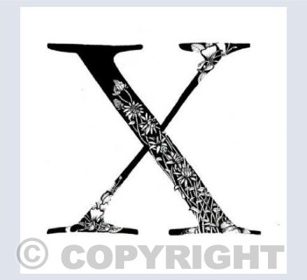 Alphabet Letters X