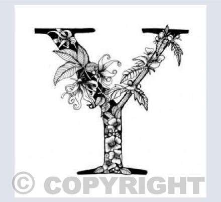 Alphabet Letters Y