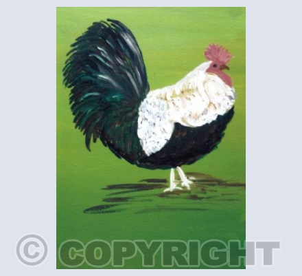 Cockadoodledoo (MH)