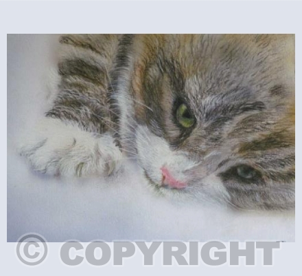 Tabby (JS)