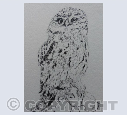 L'Hibou (JM)