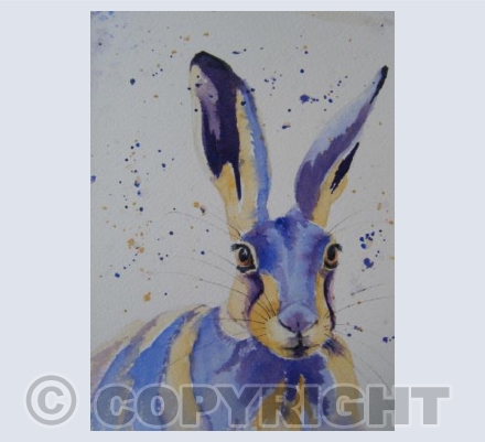 Blue Hare (SM)