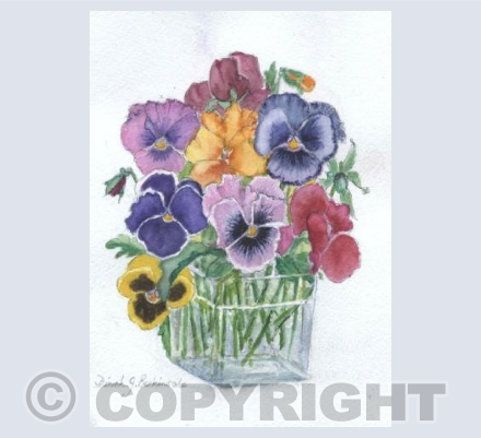 Pansies for Thoughts (DB)