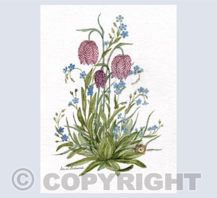 Fritillary and Forget-me-not (DB)