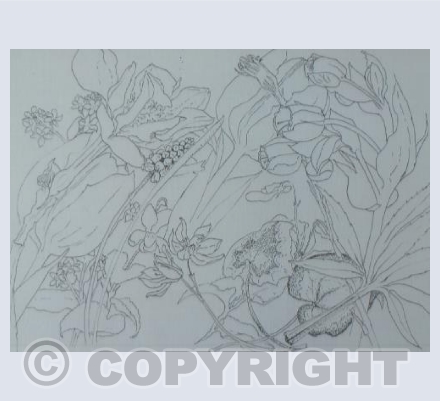 A Cotswold Cottage Garden (PS)