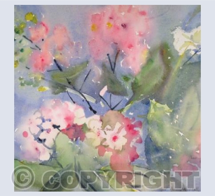 Pink Blossoms (LW)