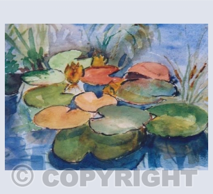 Water Lilies (LW)