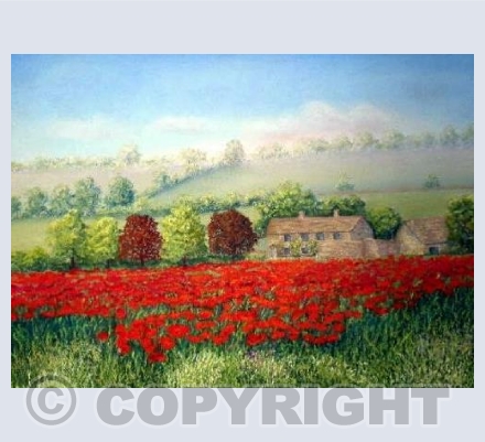 Cotswold Poppies (PH)