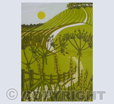 The White Chalk Path (BB)