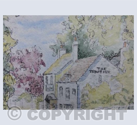 The Trout, Lechlade (JM)