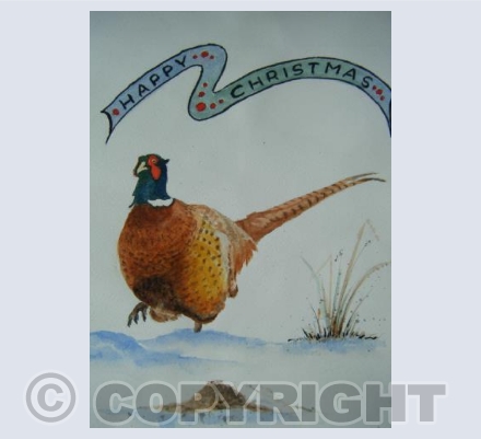 Christmas Pheasant (SM)