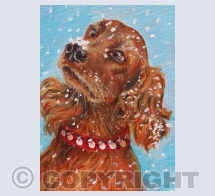 It's Snow Fun!