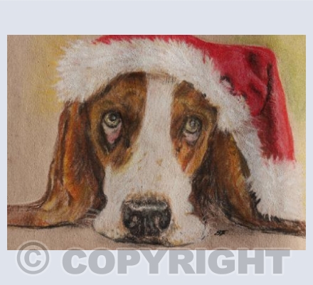 Santa Paws!