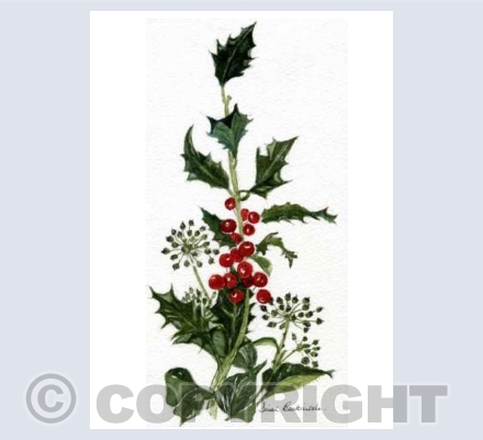 The Holly and the Ivy (DB)