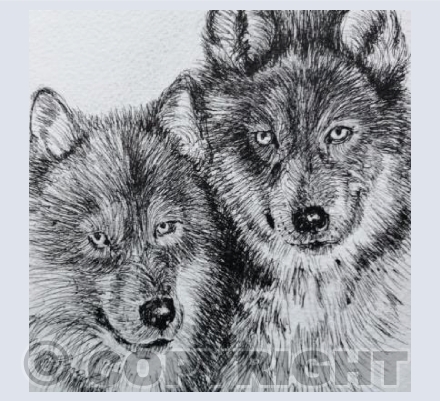 Wolves
