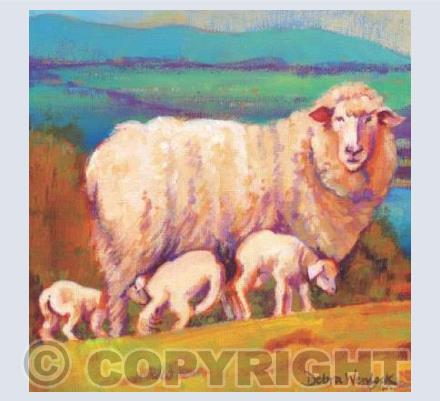 "Ewe with a View"