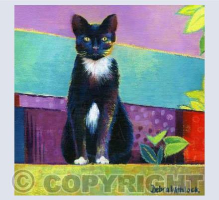 "The Monochrome Cat"