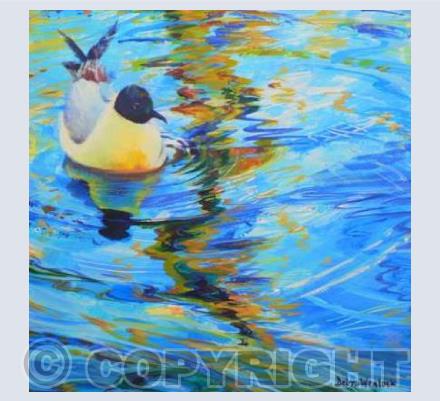 "Gliding Gull"