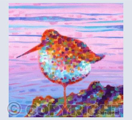 Pointillist Percy the Purple Sandpiper