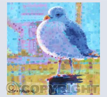 Steven Seagull
