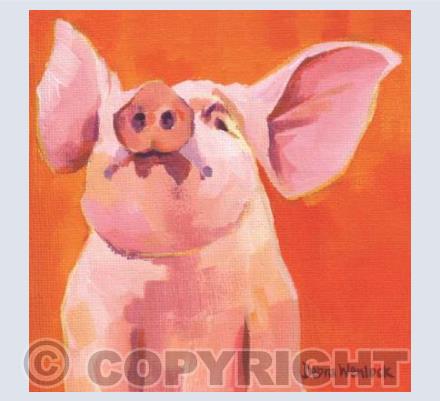 Leicester Piglet