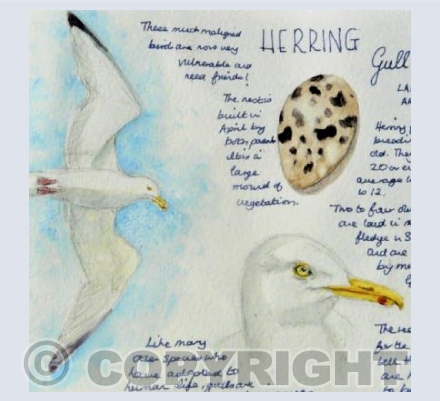  More than meets the eye.