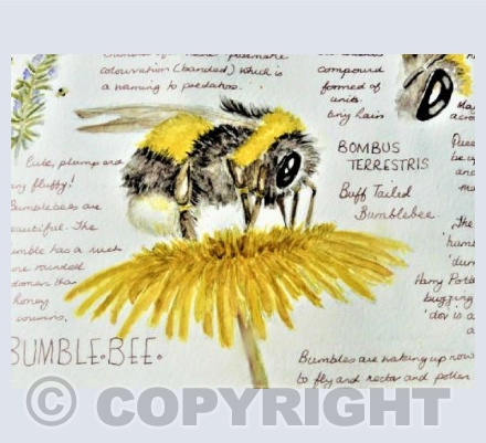 Bumble Beauty