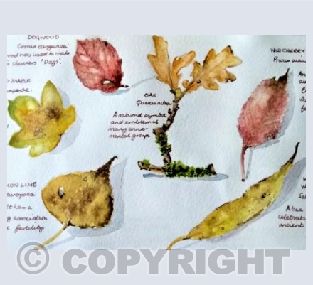 Autumn Leaves