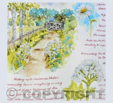 Path to the Farm