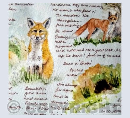 Foxwatch