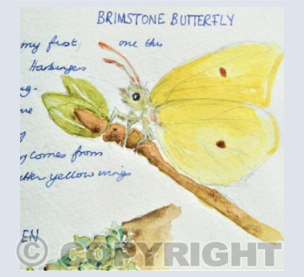 The Brimstone