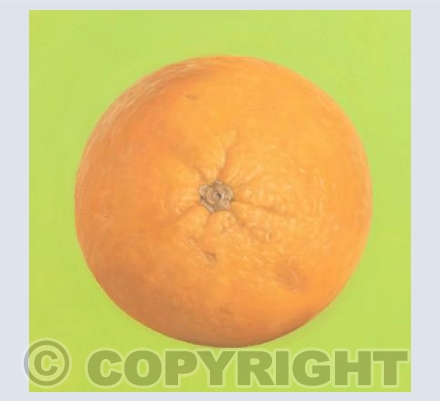 Not From Concentrate III