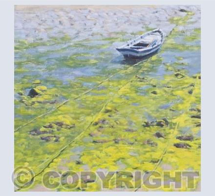Low Tide