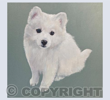 Cloud