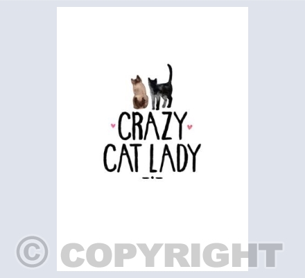 Crazy Cat Lady