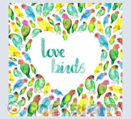 Love Birds