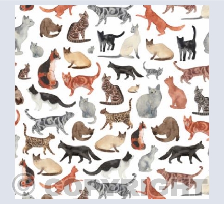 Cat watercolour pattern card